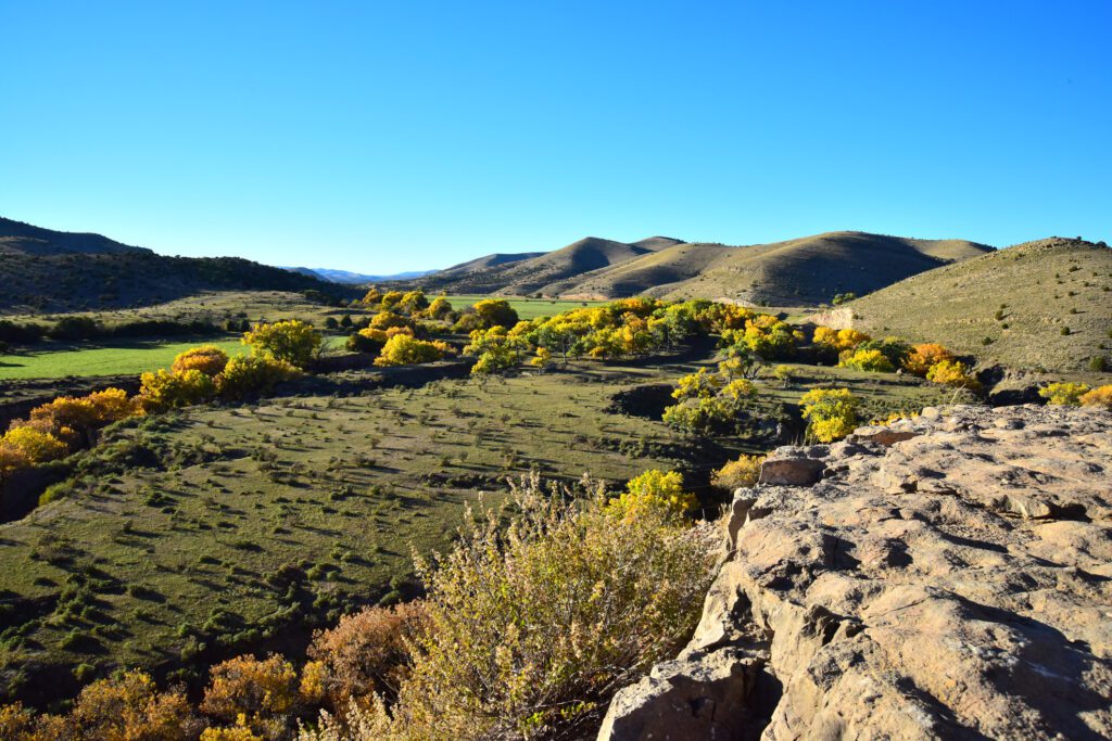 Colorful trees line a river near the Lincoln National Forest in New Mexico.